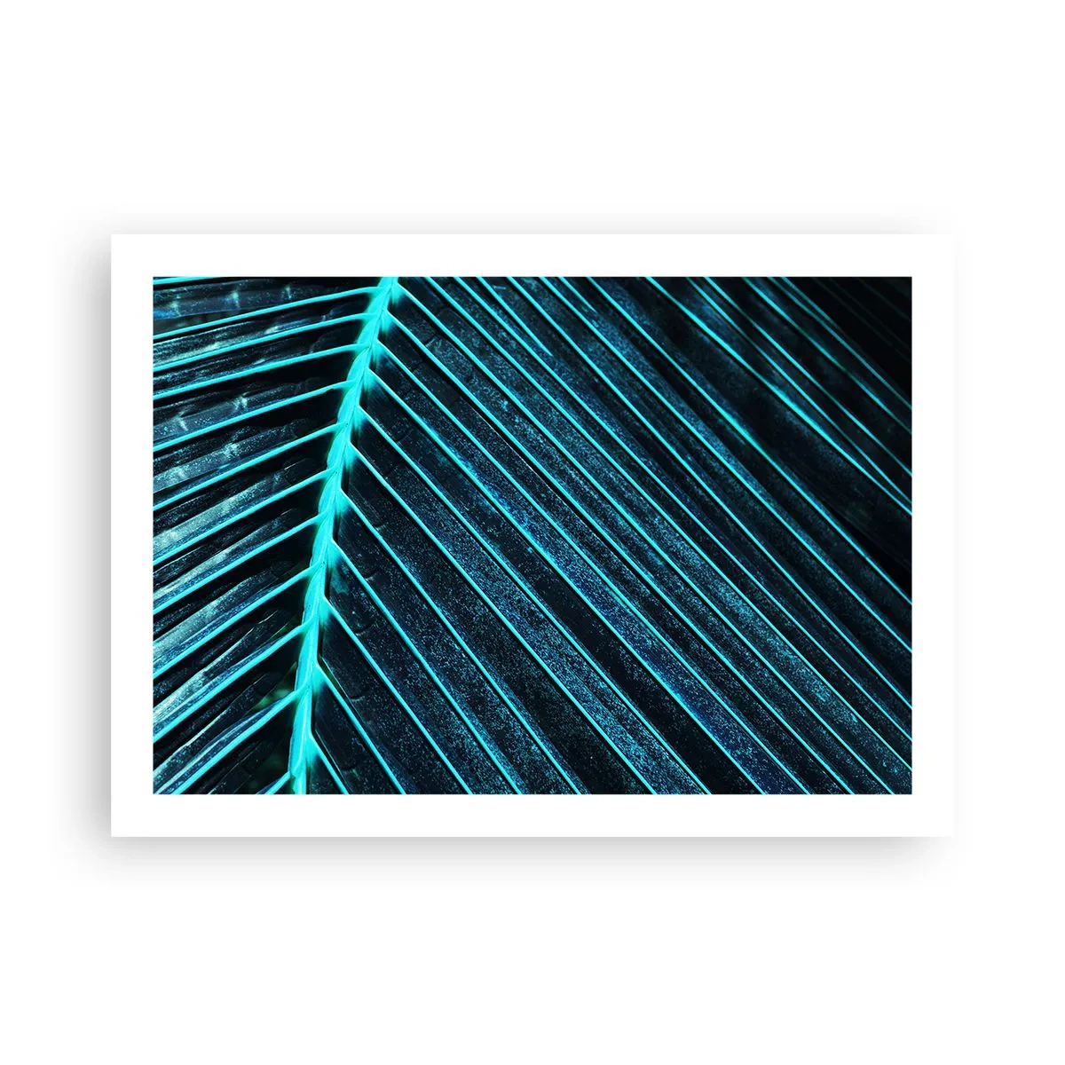 Poster - Groene textuur - 70x50 cm