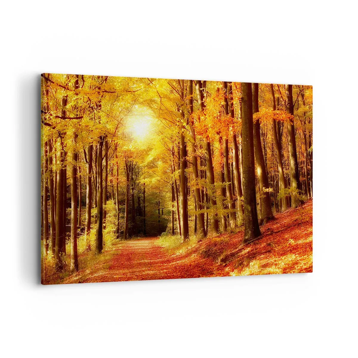 Schilderen op canvas - Gouden herfst op een bosweg - 120x80 cm