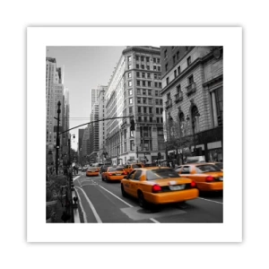 Poster - De zonnen van grote steden - 40x40 cm