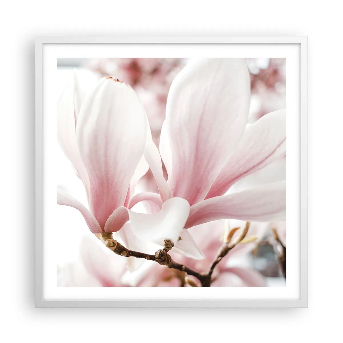 Poster in een witte lijst - Een overvloed aan tederheid - 60x60 cm