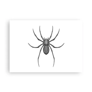 Poster - Verontrustende precisie - 70x50 cm