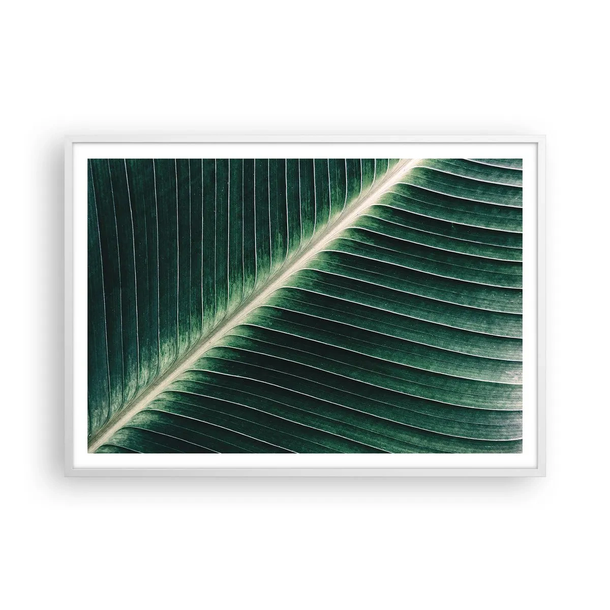 Poster in een witte lijst - Het ritme van de natuur - 100x70 cm