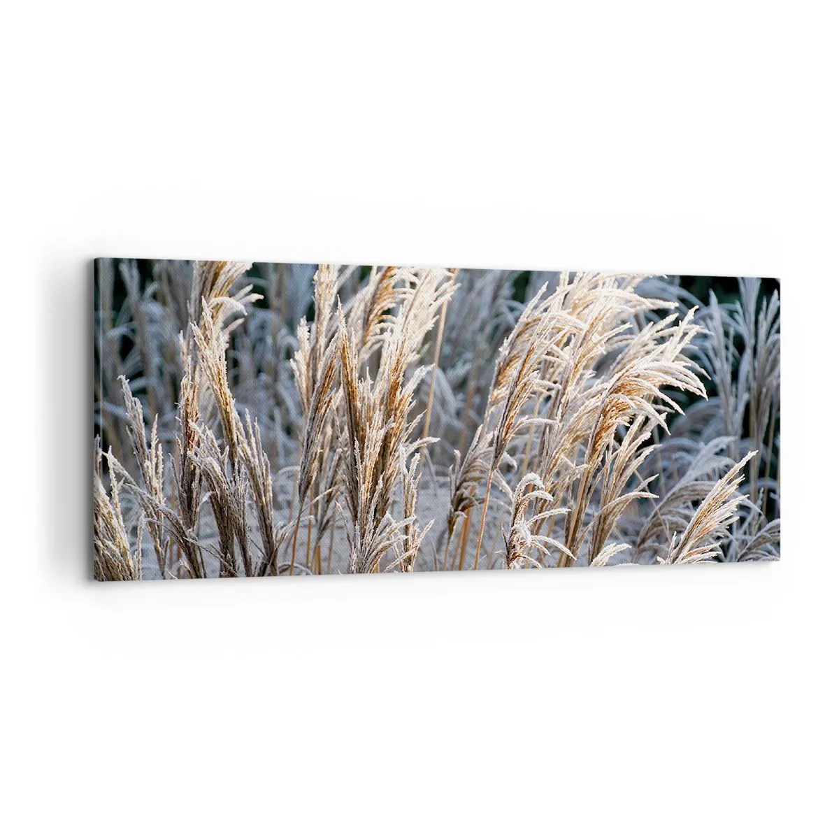 Schilderen op canvas - Gekleed met vorst - 100x40 cm