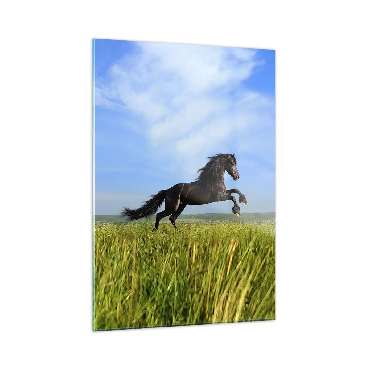 Schilderen op glas - Een spannend manifest van vrijheid - 50x70 cm