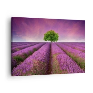 Schilderen op canvas - Een lavendelveld met een eenzame boom en een paarse lucht - 70x50cm - Op lavendelvelden - Moderne wanddecoratie voor woonkamer en slaapkamer ARTTOR