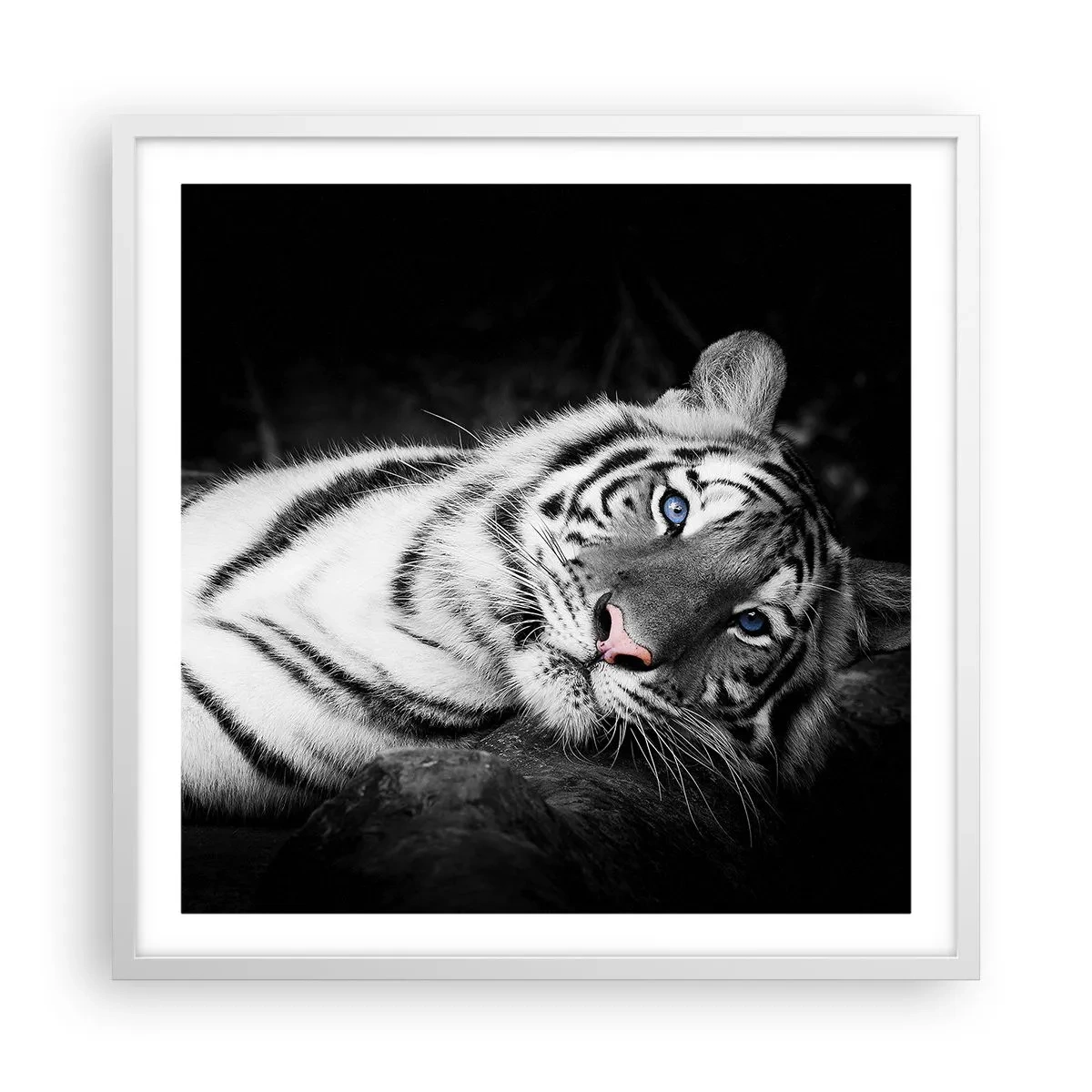 Poster in een witte lijst - Wildheid en vrede - 60x60 cm