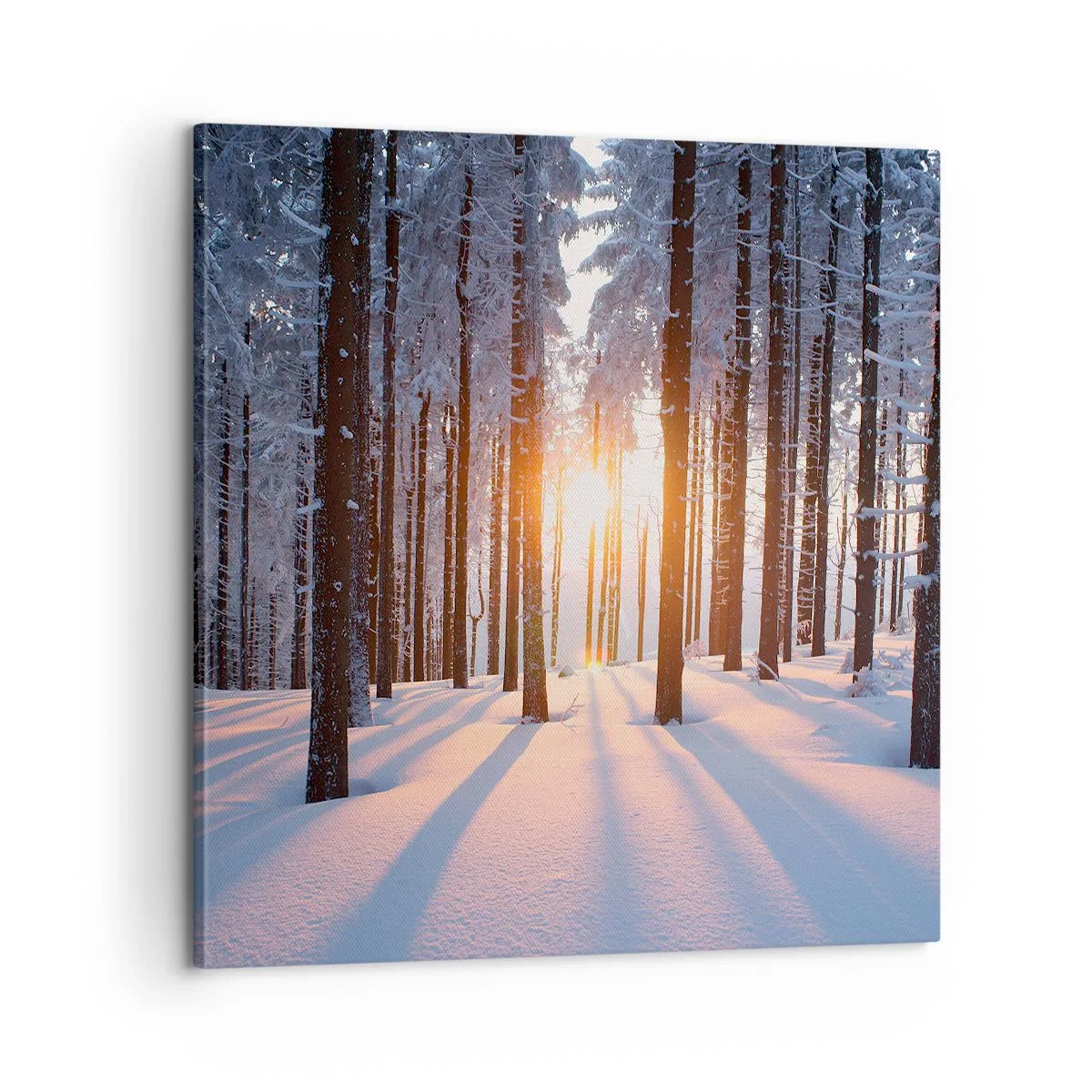 Schilderen op canvas - Duidelijk in zwart-wit - 60x60 cm