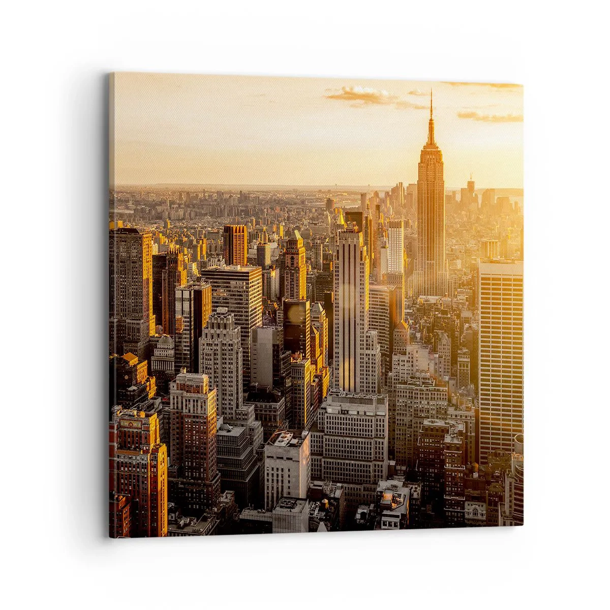 Schilderen op canvas - Groeien in de zon - 70x70 cm