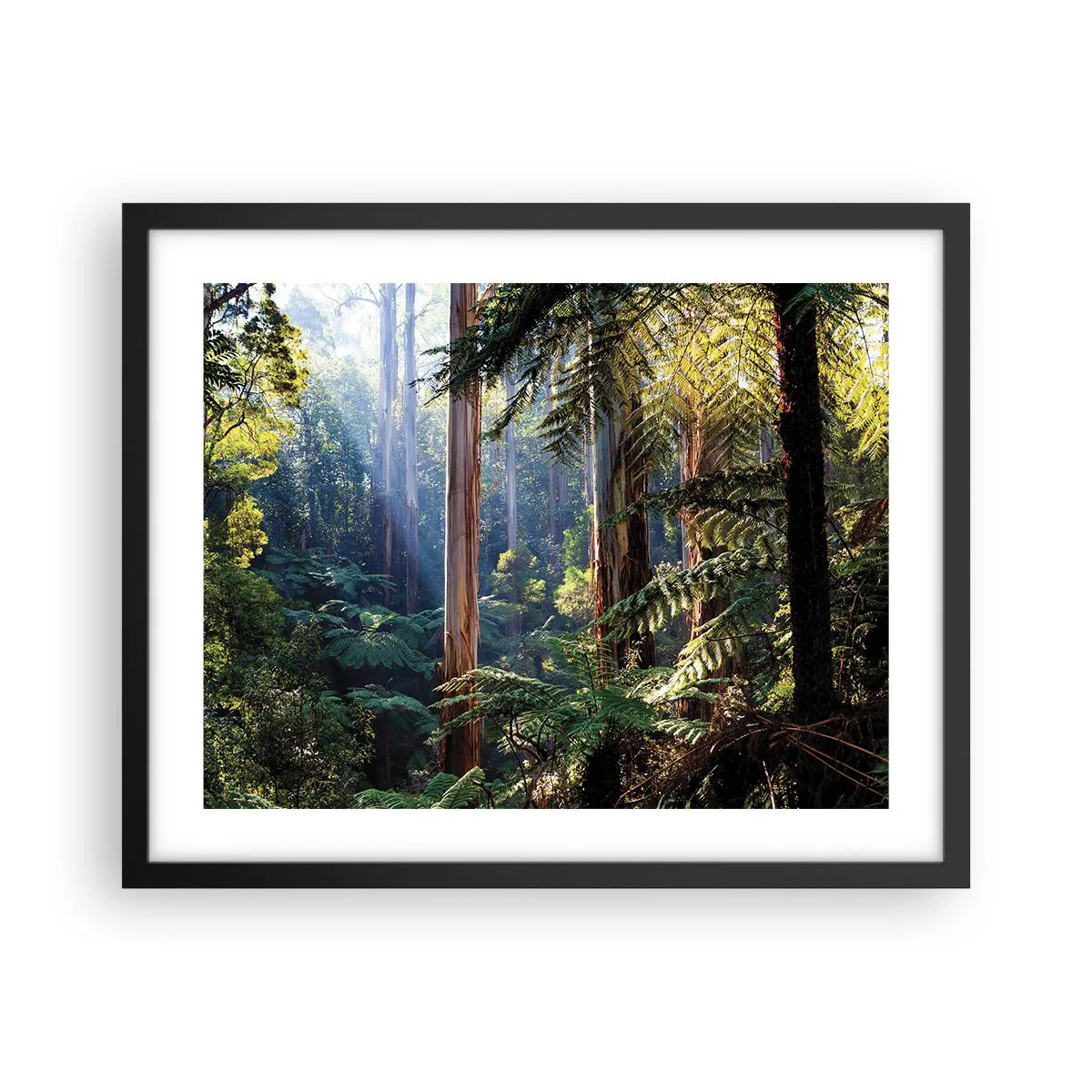 Poster in een zwarte lijst - Een bossprookje - 50x40 cm