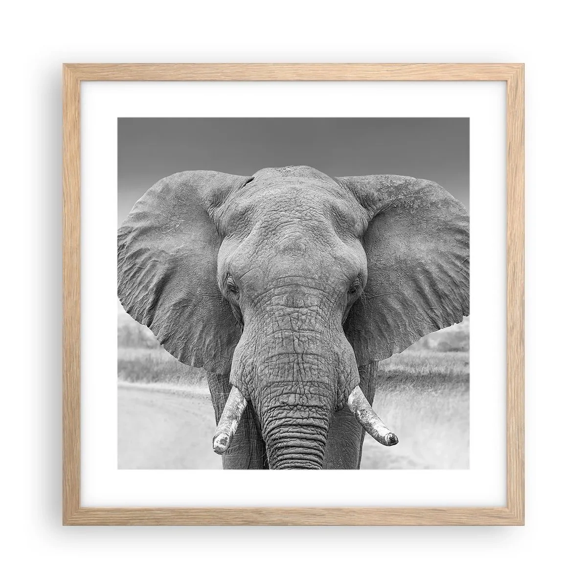 Een poster in een licht eiken lijst - Welkom in mijn wereld - 40x40 cm