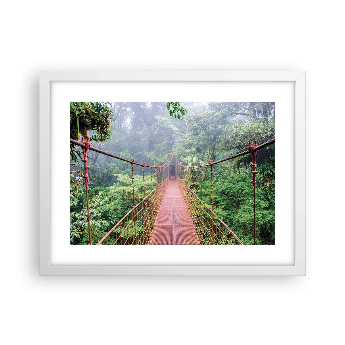 Poster in een witte lijst - Opgehangen over de kronen - 40x30 cm