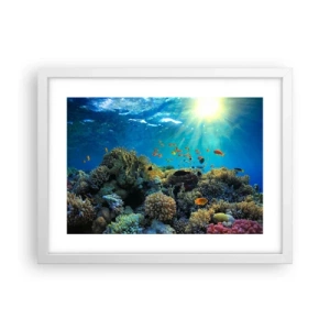 Poster in een witte lijst - Onderwater schatten - 40x30 cm