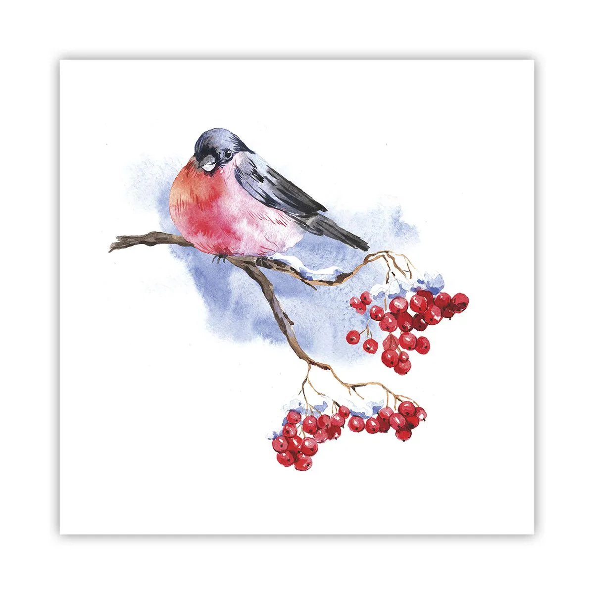 Poster - Winter in kleur - 60x60 cm