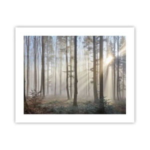 Poster - De mist werd ook wakker - 50x40 cm