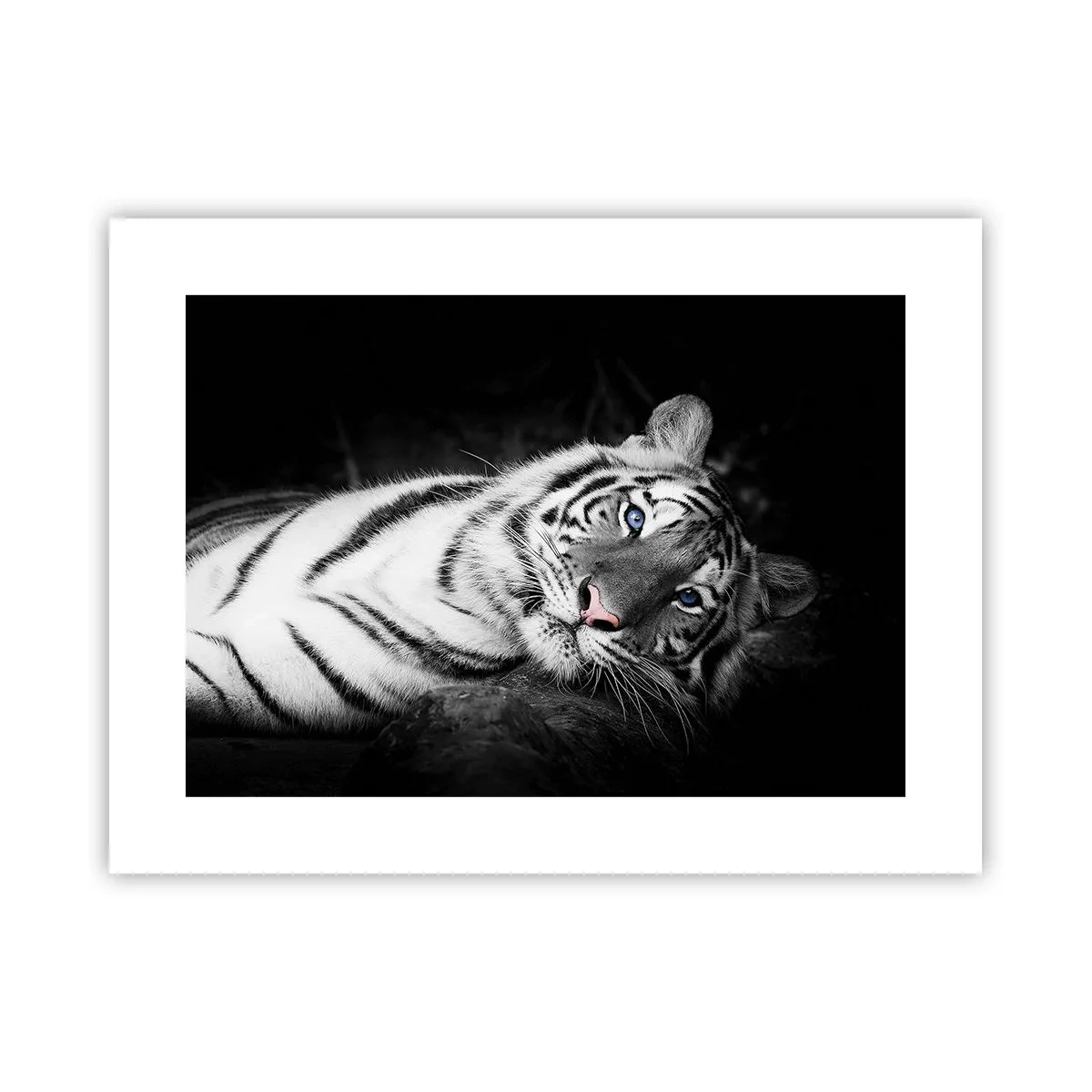 Poster - Wildheid en vrede - 40x30 cm