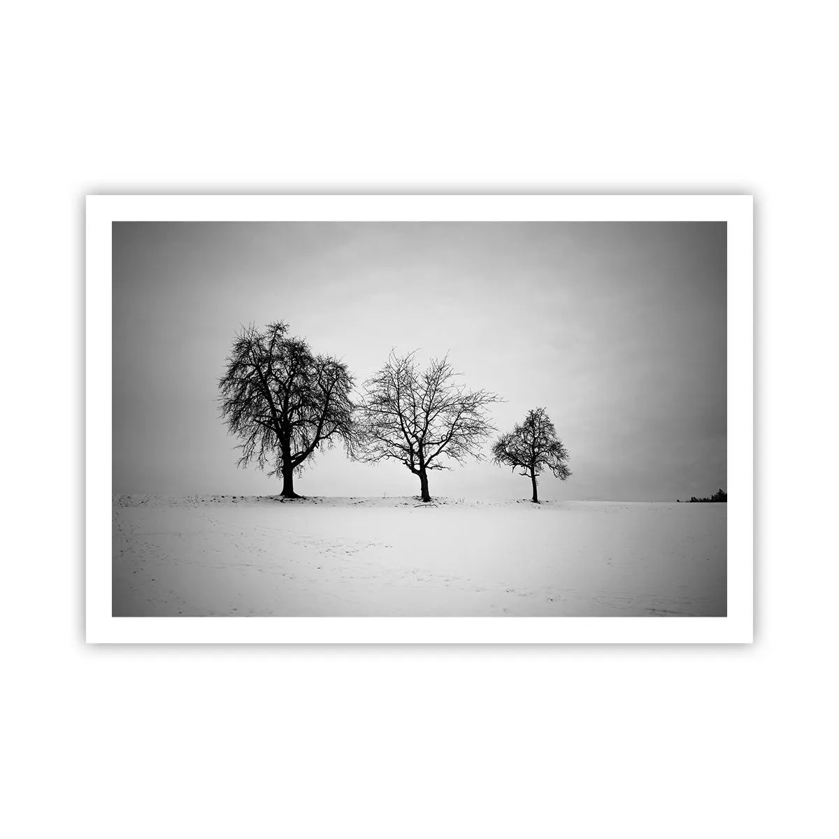 Poster - Waar dromen ze over? - 91x61 cm