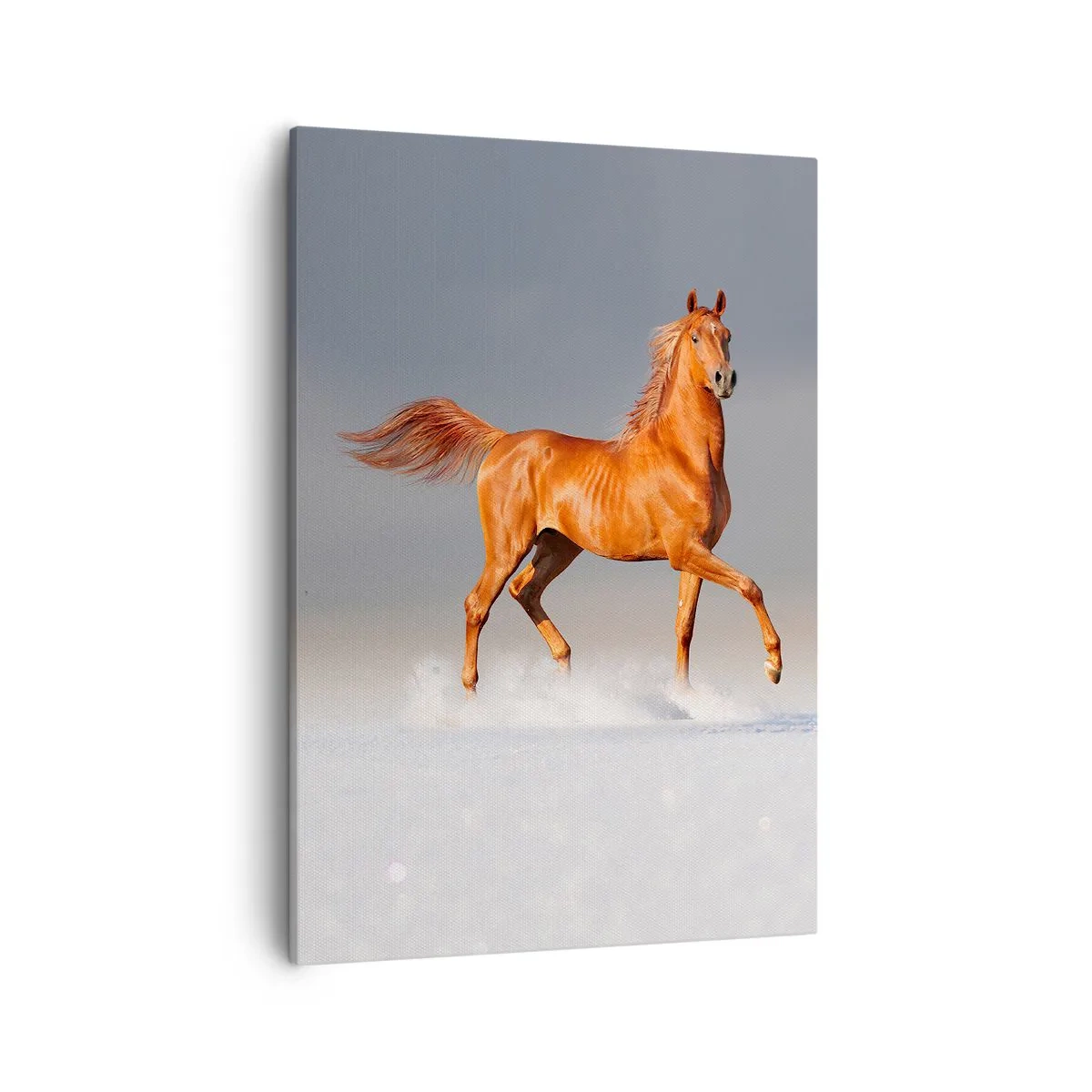 Schilderen op canvas - Dansende elegantie - 50x70 cm