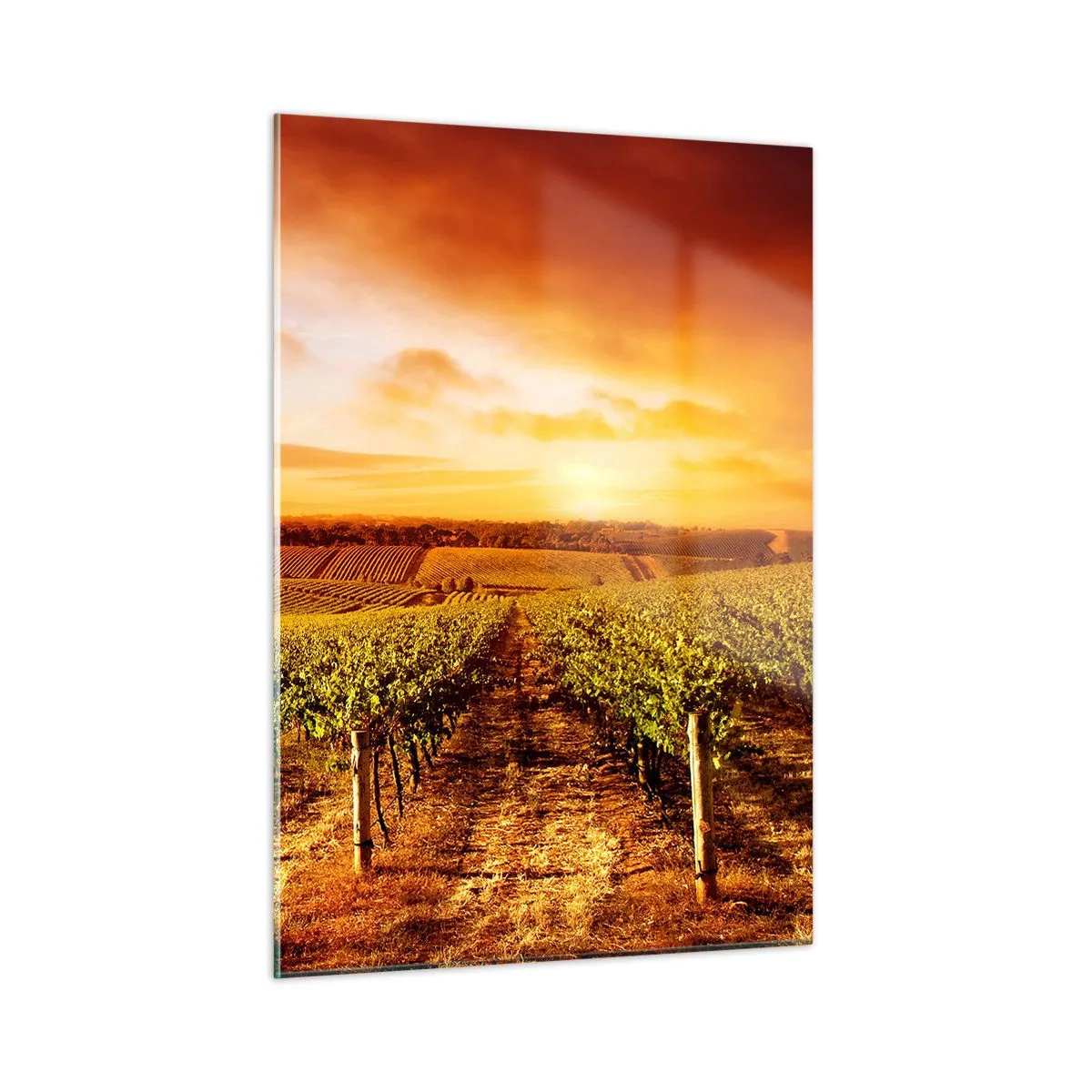 Schilderen op glas - Licht fruitig met een vleugje zonneschijn - 50x70 cm