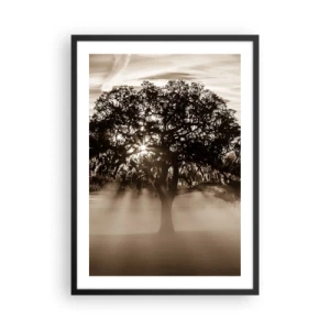 Poster in een zwarte lijst - Boom in de mist met lichtstralen - 50x70cm - Boom van goede kennis alleen - Moderne wanddecoratie voor woonkamer en slaapkamer ARTTOR