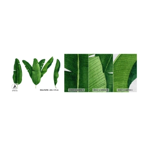 Fotobehang Monster Premium Sand - Groene symmetrie - Bananenblad, Tropisch, Botanische stijl - 100x30 cm