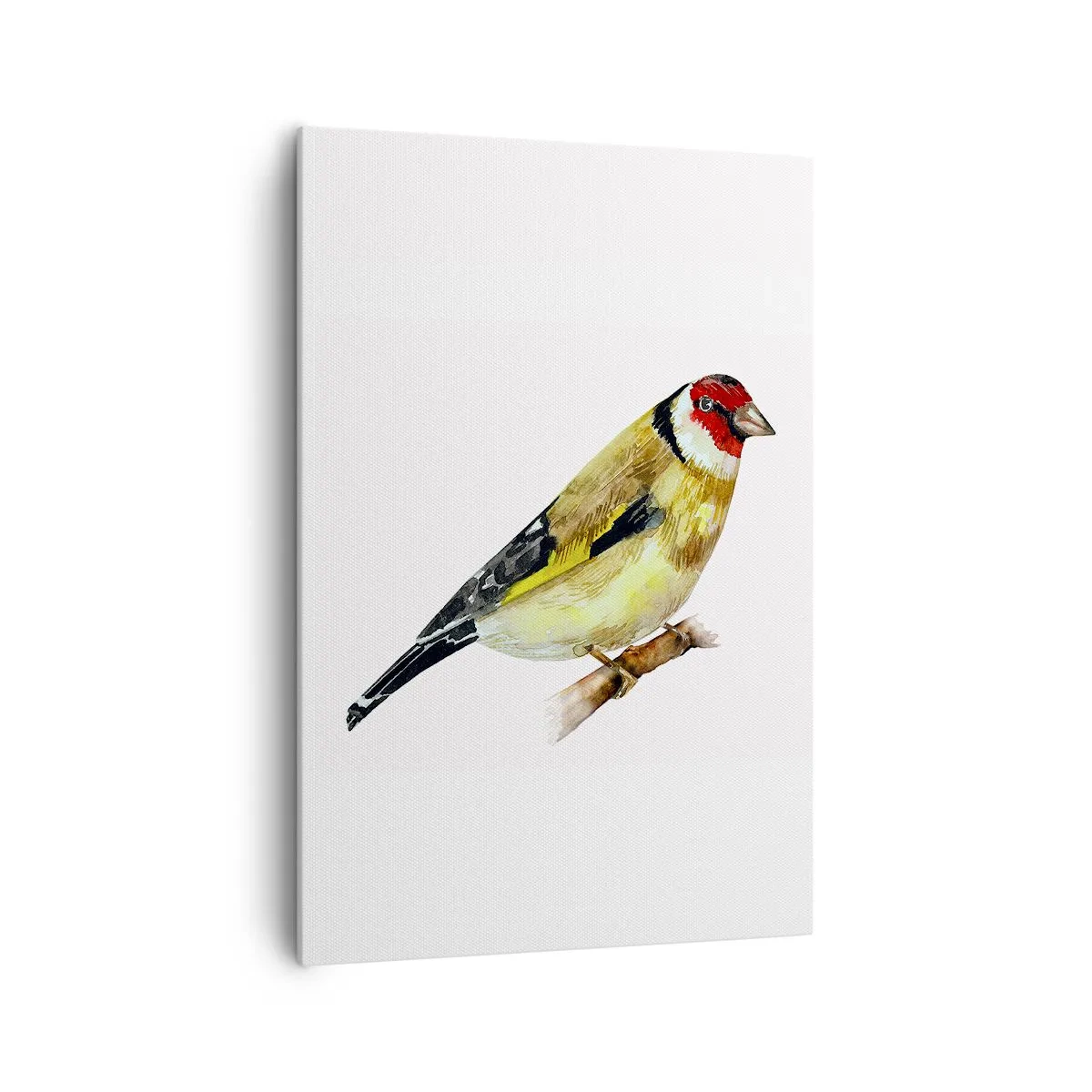 Schilderen op canvas - Vogel portret - 70x100 cm