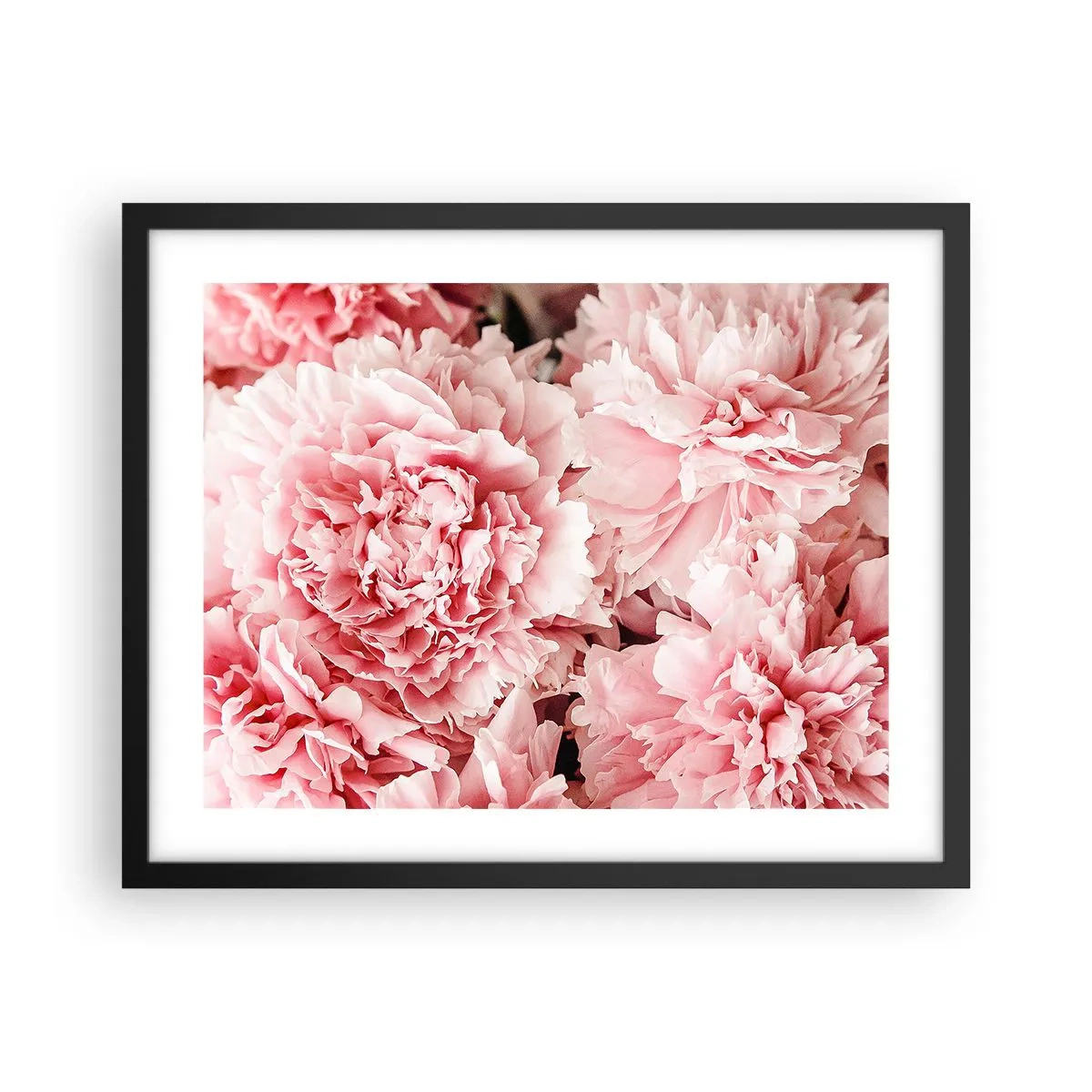 Poster in een zwarte lijst - Roze droom - 50x40 cm
