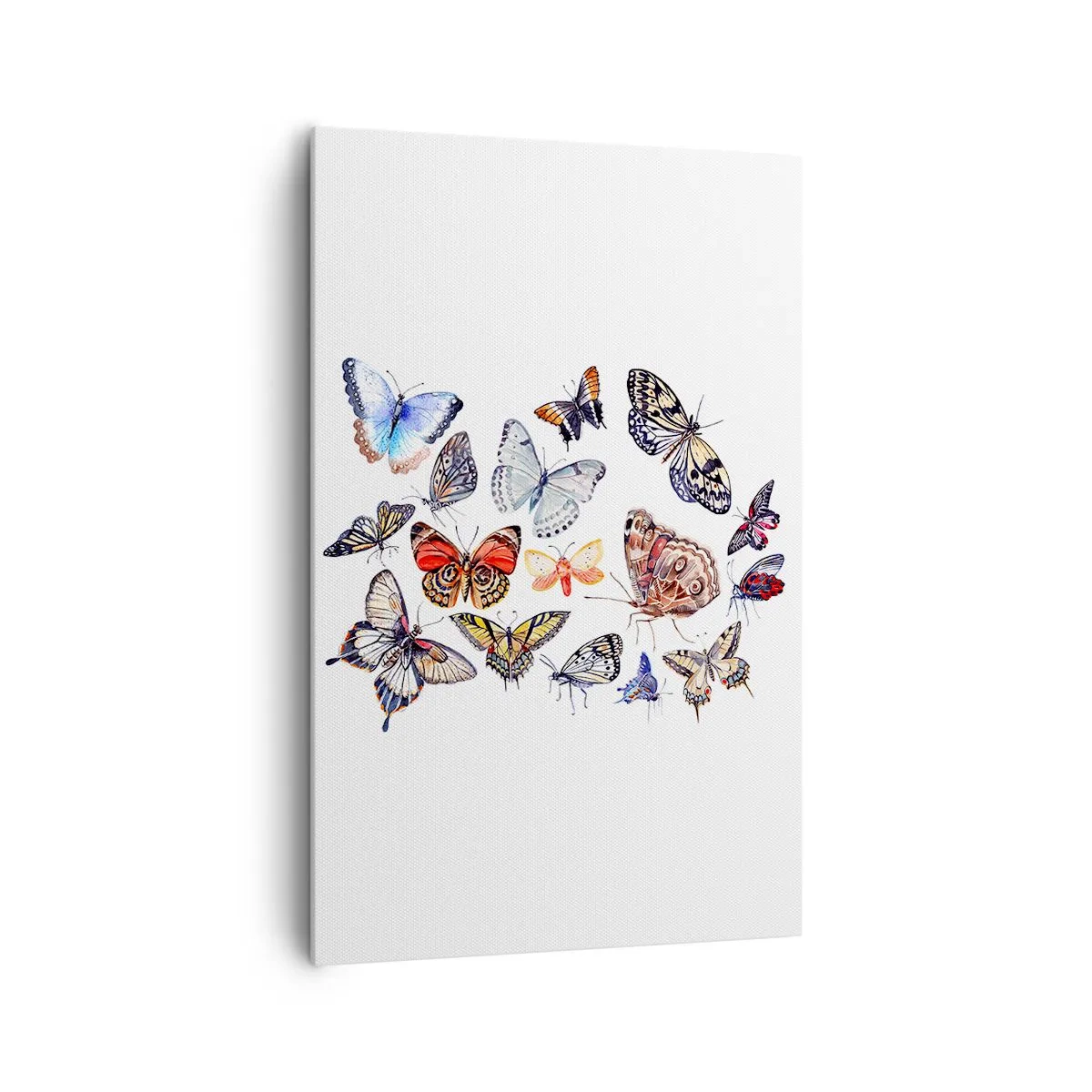 Schilderen op canvas - Kanten, kleurrijke zwerm - 80x120 cm