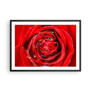 Poster in een zwarte lijst - In de dauwdruppels - 70x50 cm