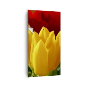 Schilderen op canvas - Tulpenkoorts - 65x120 cm