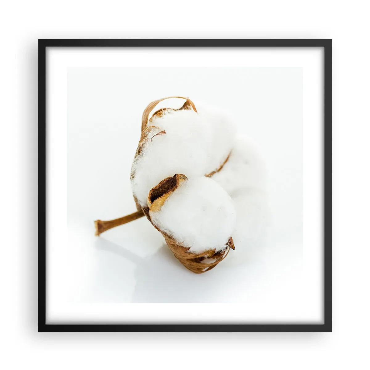 Poster in een zwarte lijst - Zacht van aard - 50x50 cm