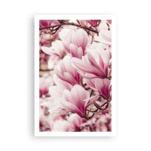 Poster - De lente is roze - 61x91 cm