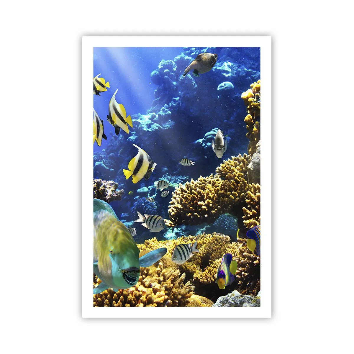 Poster - Veel verkeer op de vakantieroute - 61x91 cm