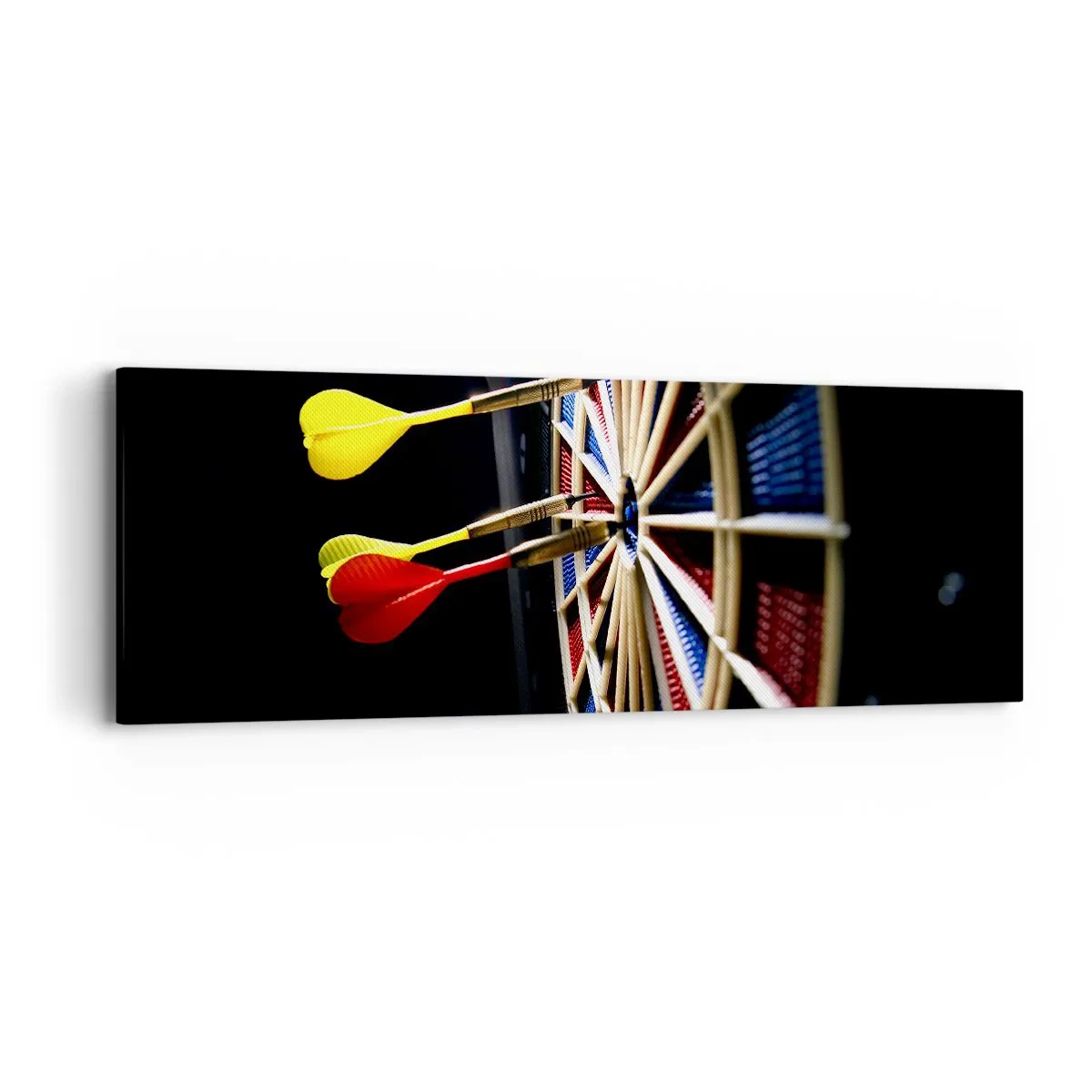 Schilderen op canvas - De spikerop de kop - 90x30 cm