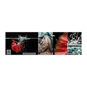 Fotobehang Monster Premium Sand - Je hebt drie wensen - Abstractie, Aquarium, Vis - 100x30 cm