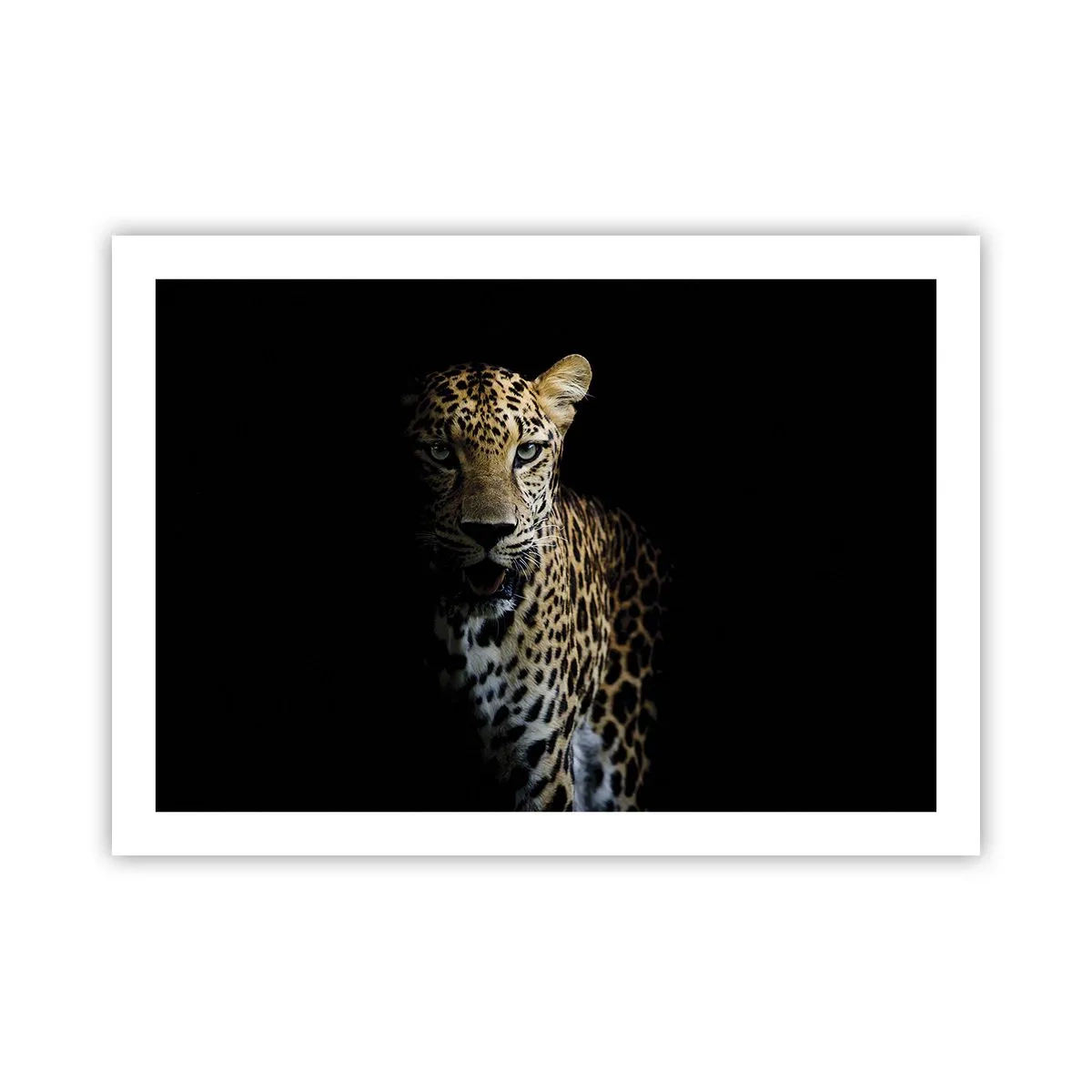 Poster - Donkere schoonheid - 70x50 cm