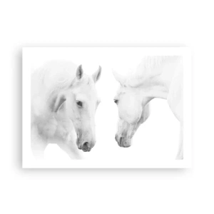 Poster - Is dit vriendschap...? - 70x50 cm