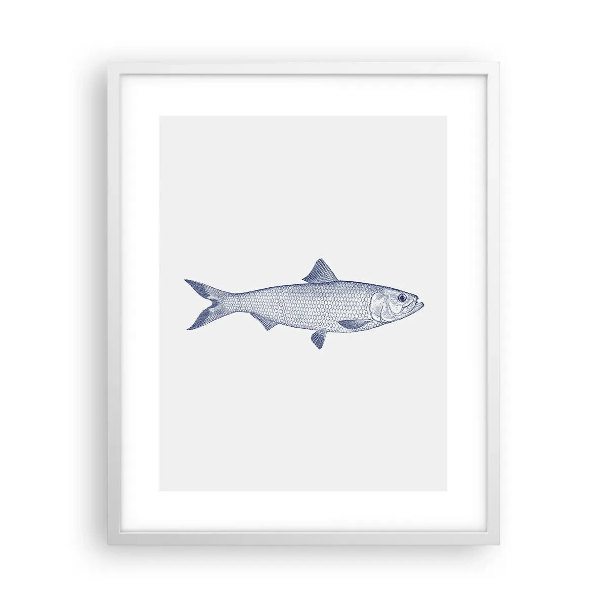 Poster in een witte lijst - Groeten uit de noordelijke zeeën - 40x50 cm