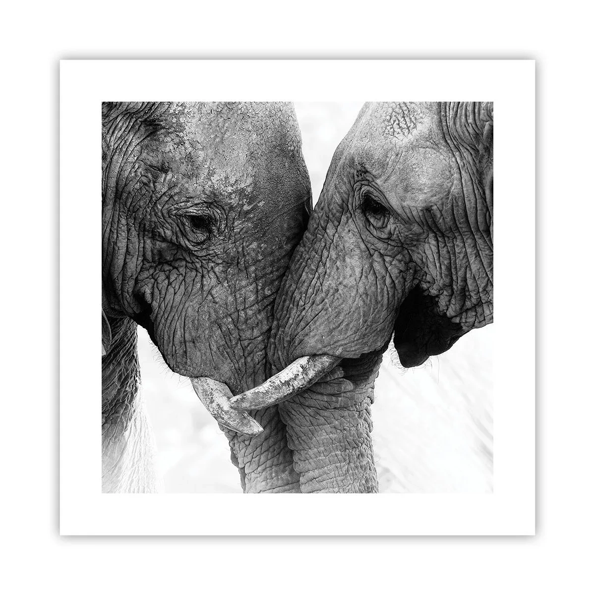 Poster - Oprechte bekentenis - 40x40 cm