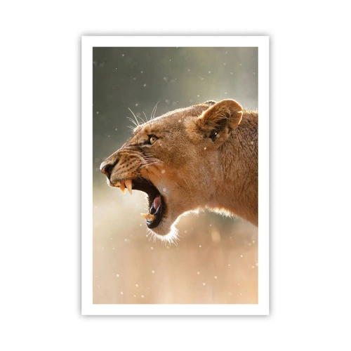 Poster - Probeer niet te luisteren - 61x91 cm