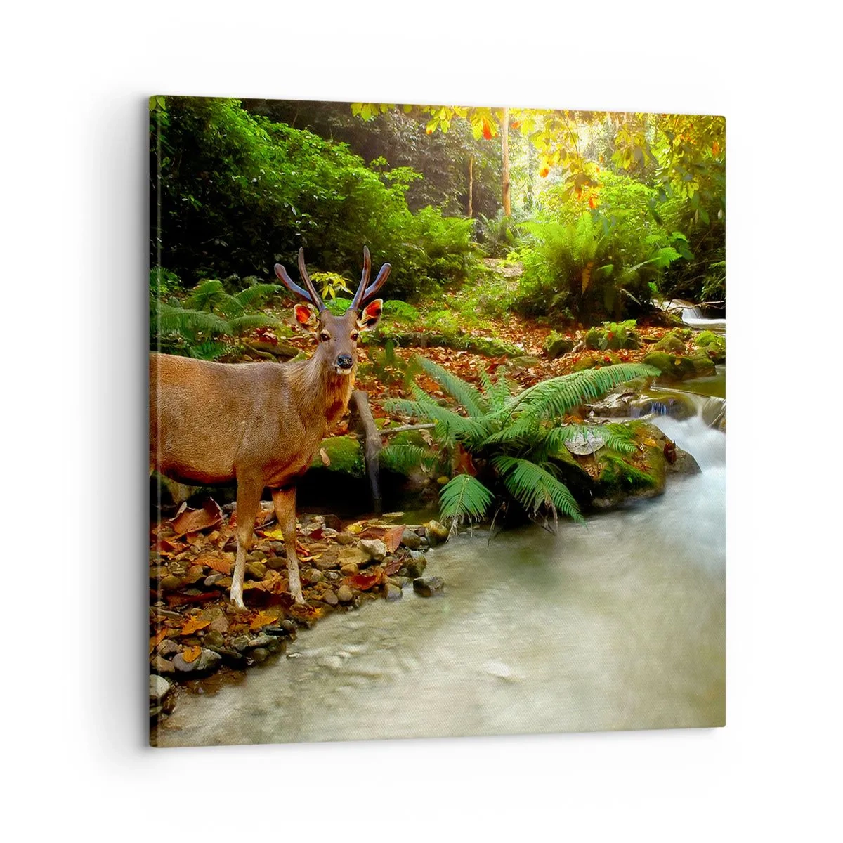 Schilderen op canvas - Welkom in mijn wereld - 60x60 cm