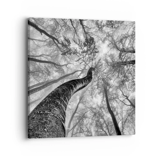 Schilderen op canvas - Race naar het licht - 40x40 cm