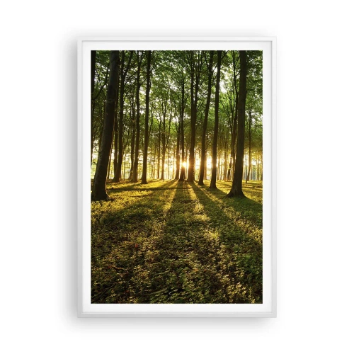 Poster in een witte lijst - Foto van de hele lente - 70x100 cm