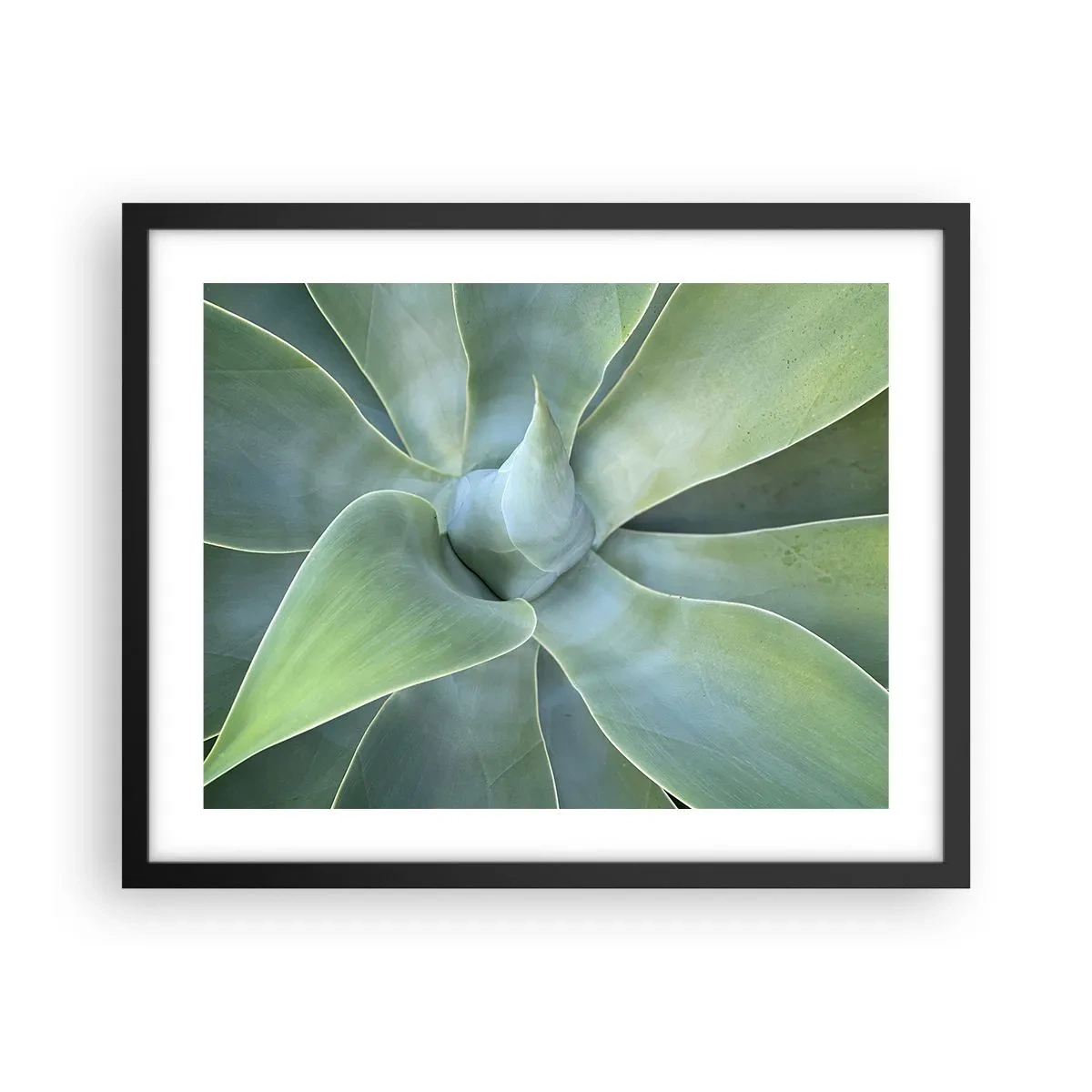 Poster in een zwarte lijst - De geboorte van groen - 50x40 cm