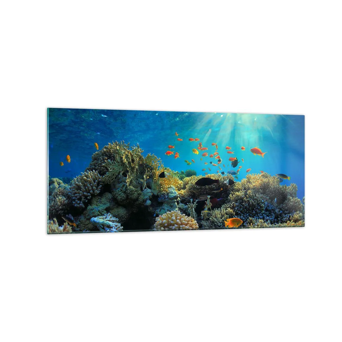 Schilderen op glas - Onderwater schatten - 120x50 cm