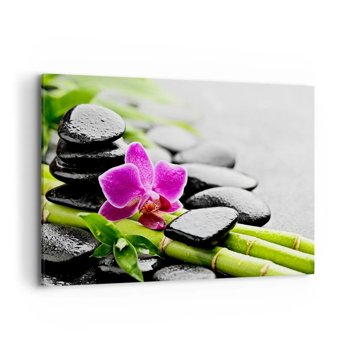 Schilderen op canvas - In een vrede evenwicht - 100x70 cm