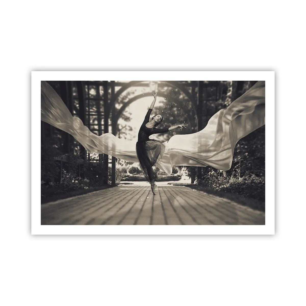 Poster - De dans van de tuingeest - 91x61 cm