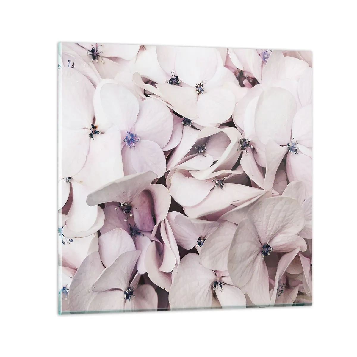 Schilderen op glas - In een vloed van bloemen - 60x60 cm