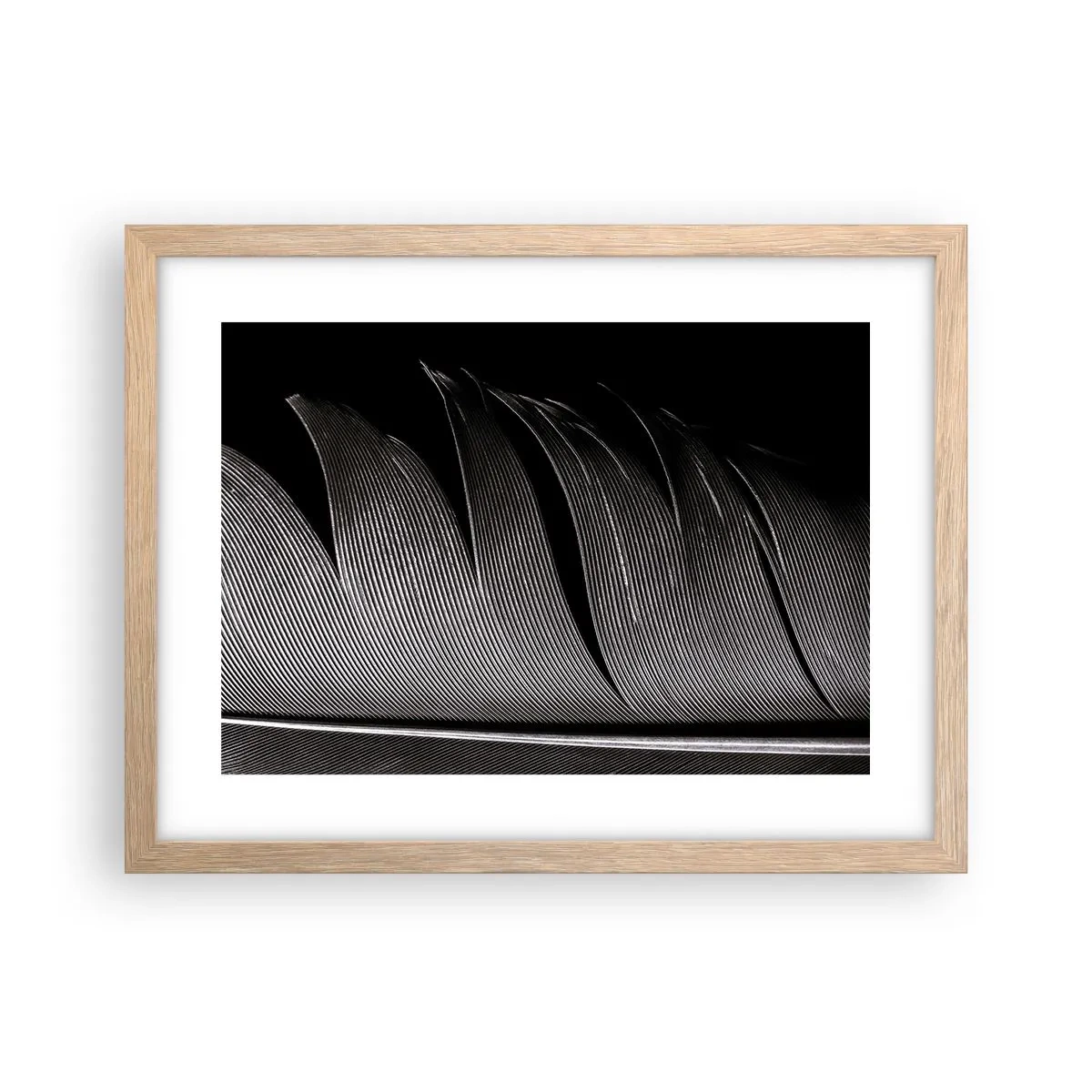 Een poster in een licht eiken lijst - Een veer - prachtig ontwerp - 40x30 cm