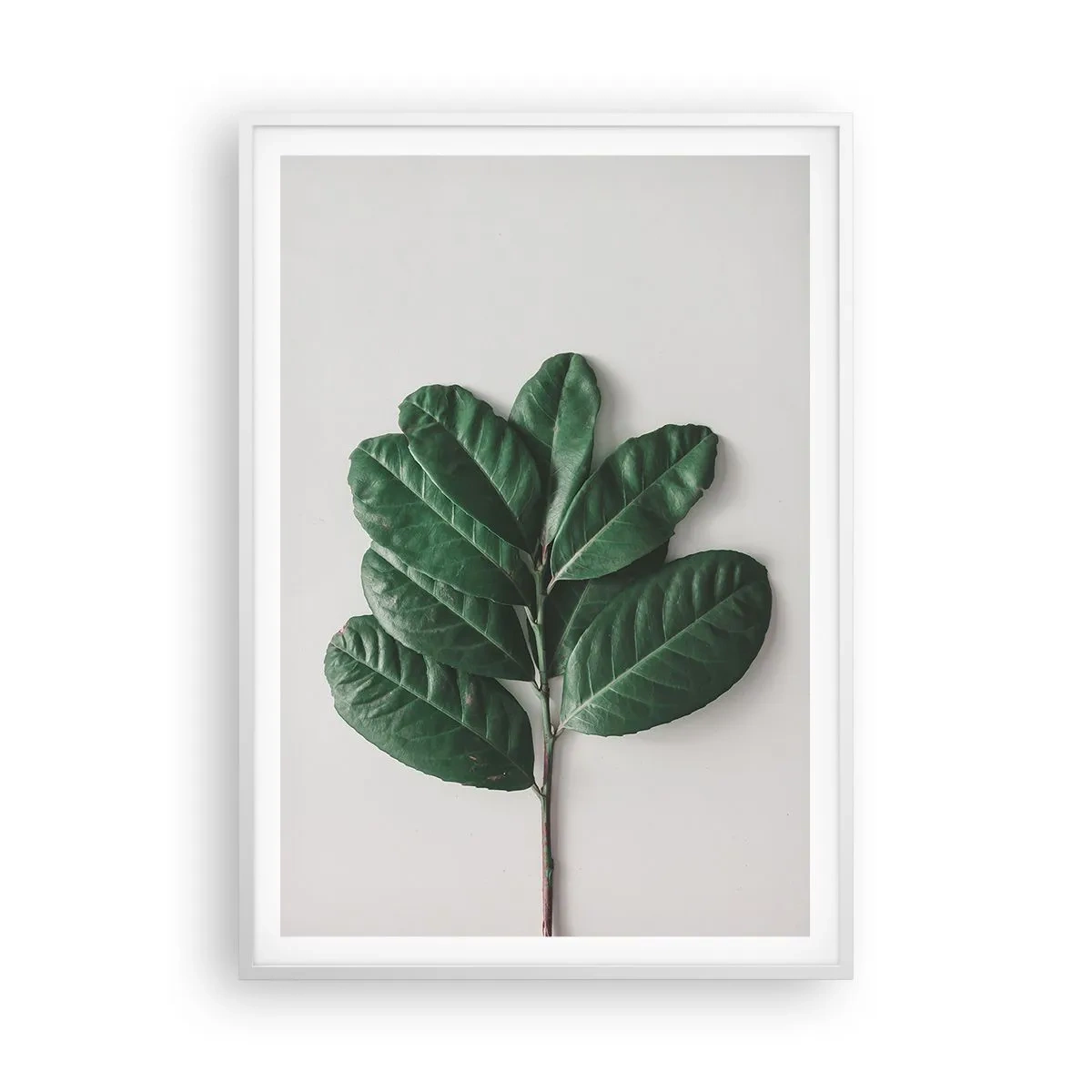 Poster in een witte lijst - Een tekening van de pure natuur - 70x100 cm