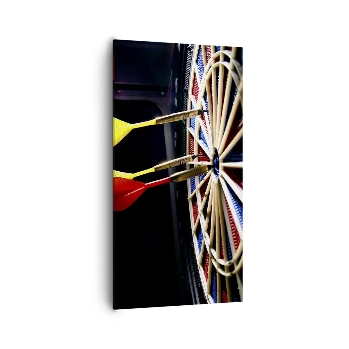 Schilderen op canvas - De spikerop de kop - 65x120 cm